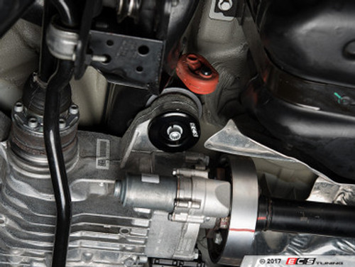 Rear Differential Mount Insert Kit (1 Insert) - Front Position