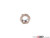 Stainless Steel 8mm Nut