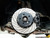 2-Piece Lightweight Rear Brake Rotors - Pair (350x24)