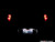 LED License Plate Bulb - Pair | ES2602311