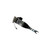 B4 OE Replacement (Air) - Air Suspension Strut | 45-242007