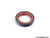 ECS Tuning Timing Belt Kit - Ultimate Plus | ES8786