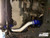 Volvo S60 V60 XC60 V70 XC70 S80 3.0L T6 Pressure pipes with Red hoses