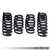 Dynamic+ Lowering Springs for Gen 1 & 1.5 Audi R8 4.2 FSI and 5.2 FSI