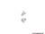 Front Brake Service Kit | ES2597550 Front Brake Service Kit | ES2597550
