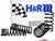 H&R Sport Spring & Bilstein Sport Shocks Combo | ES1138