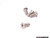 Front & Rear Brake Service Kit | ES2562100