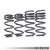 Dynamic+ Lowering Springs for B9 Audi A4/Allroad