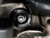 Rear Differential Mount Insert Kit (1 Insert) - Front Position
