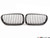 ECS Kidney Grille Set - Carbon Fiber