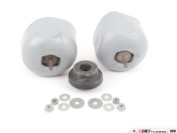 RS4 Engine Mount Kit | ES2863163