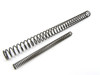 Wolff Recoil Spring & Firing Pin Spring for EAA / Tanfoglio Stock II, Stock III & Fullsize models 