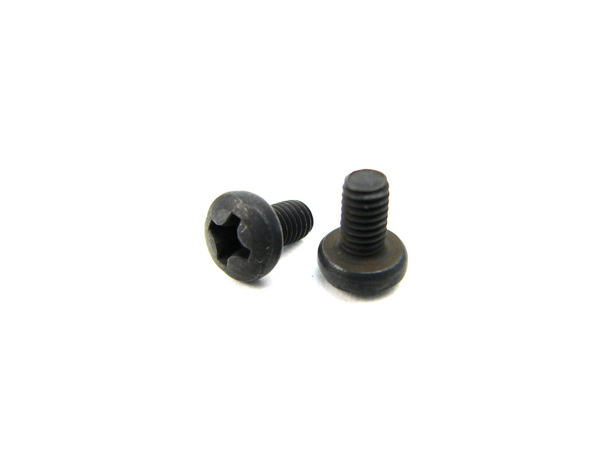 CGW CZ Grip Screw by Cajun Gun Works