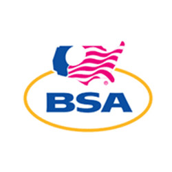 BSA