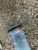Set of FOUR Rupert 65-51 Aircraft Seat Safety Belts (as Removed)