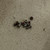 Cessna 172 Outside Inside Strip for Windshield P# 0510001-4 & 0510001-7 58 C-172
