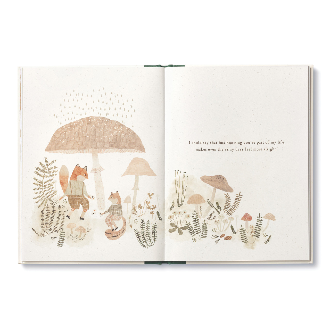 More Than a Little, by M.H. Clark and Cécile Metzger | Friendship ...