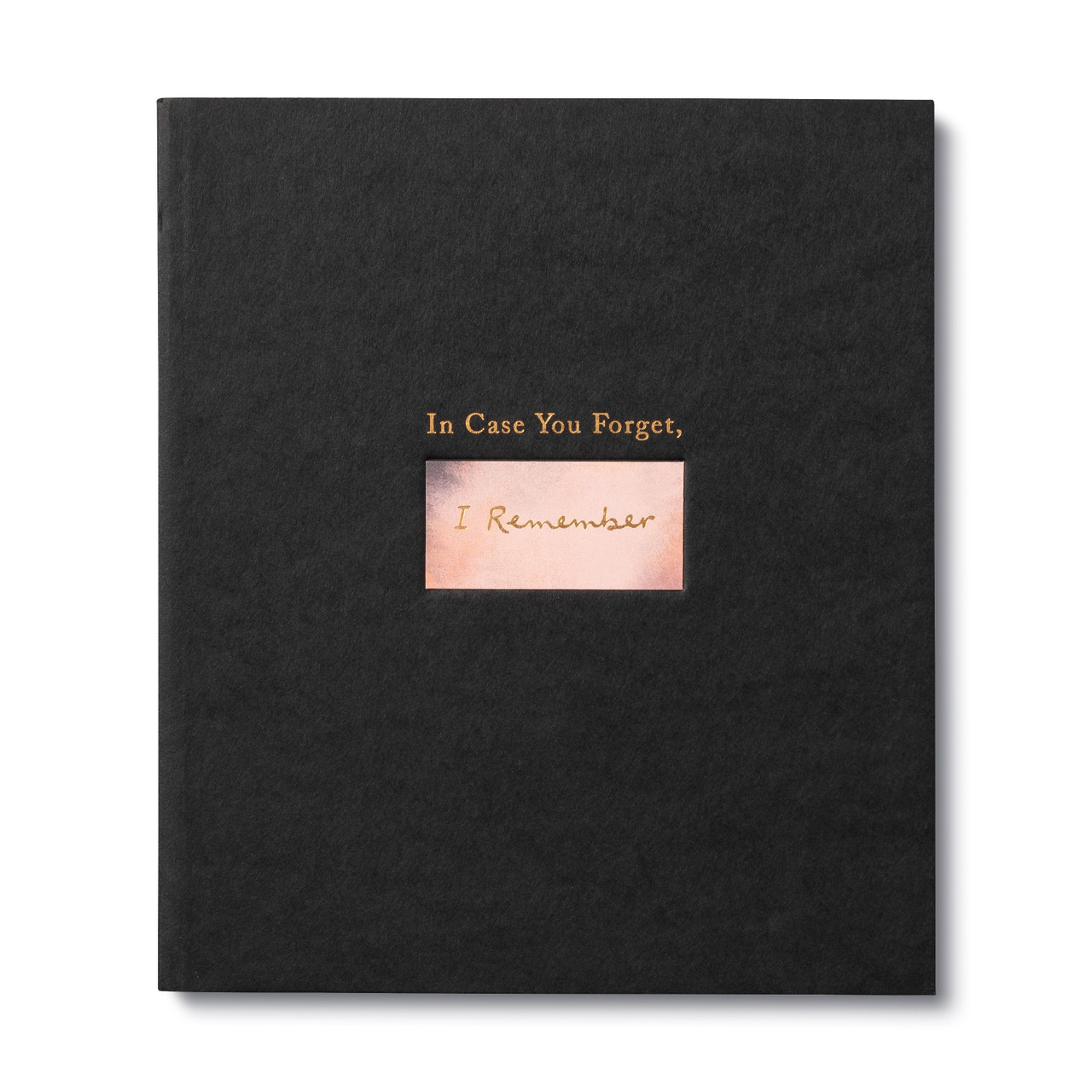 In Case You Forget, I Remember by M.H. Clark and Jessica Phoenix