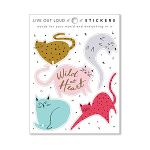 The packaging of the sticker, showing the front of the sticker. 