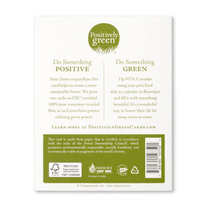 The back of the card includes the Positively Green logo, a green tip, and our promise to help create a more sustainable future. Each card is printed in the USA with FSC-certified, 100% post-consumer recycled fiber at an EnviroStars printer utilizing green power.