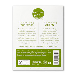 The back of the card includes the Positively Green logo, a green tip, and our promise to help create a more sustainable future. Each card is printed in the USA with FSC-certified, 100% post-consumer recycled fiber at an EnviroStars printer utilizing green power.