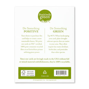 The back of the card includes the Positively Green logo, a green tip, and our promise to help create a more sustainable future. Each card is printed in the USA with FSC-certified, 100% post-consumer recycled fiber at an EnviroStars printer utilizing green power.