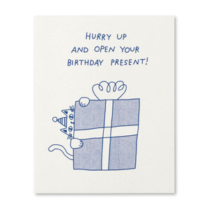 Hurry up and open your birthday present!