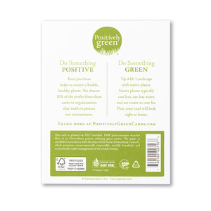 The back of the card includes the Positively Green logo, a green tip, and our promise to help create a more sustainable future. Each card is printed in the USA with FSC-certified, 100% post-consumer recycled fiber at an EnviroStars printer utilizing green power.
