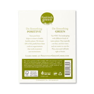 The back of the card includes the Positively Green logo, a green tip, and our promise to help create a more sustainable future. Each card is printed in the USA with FSC-certified, 100% post-consumer recycled fiber at an EnviroStars printer utilizing green power.