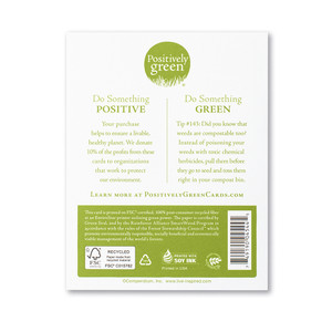 The back of the card includes the Positively Green logo, a green tip, and our promise to help create a more sustainable future. Each card is printed in the USA with FSC-certified, 100% post-consumer recycled fiber at an EnviroStars printer utilizing green power.