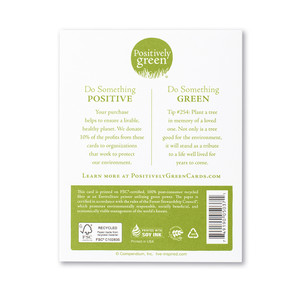 The back of the card includes the Positively Green logo, a green tip, and our promise to help create a more sustainable future. Each card is printed in the USA with FSC-certified, 100% post-consumer recycled fiber at an EnviroStars printer utilizing green power.