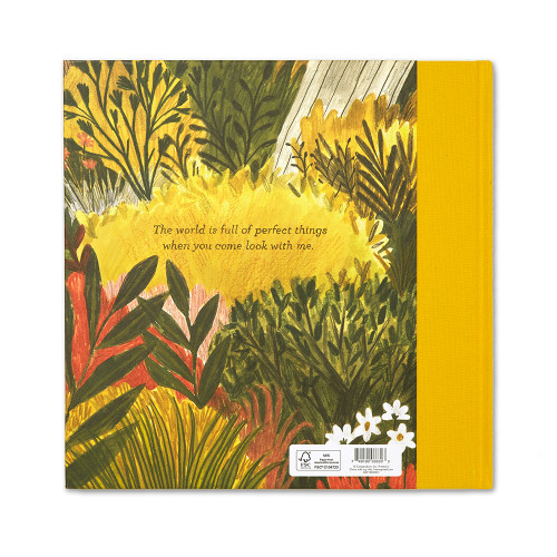 Back cover of Tiny, Perfect Things, featuring a jungle as the background, and a short description of the book. 