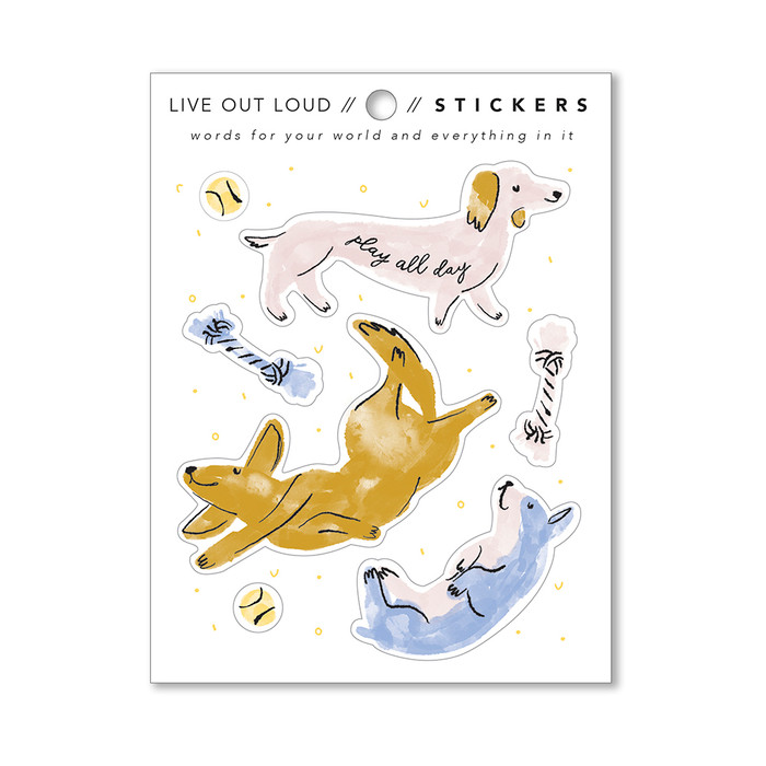 The packaging of the sticker, showing the front of the sticker. 