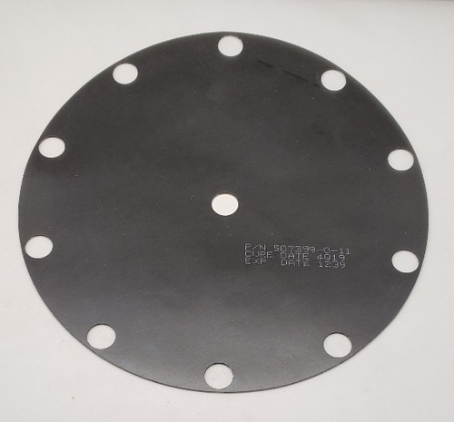 507399011 - DIAPHRAM-10 HOLE VITON, .050 THK, MOD 20