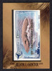 2015 Topps Allen & Ginter #GD-15 2012 Bryde's Whale Mini Framed Buyback 10th Anniversary