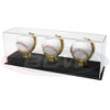 BCW Acrylic Gold Glove 3 Baseball Display