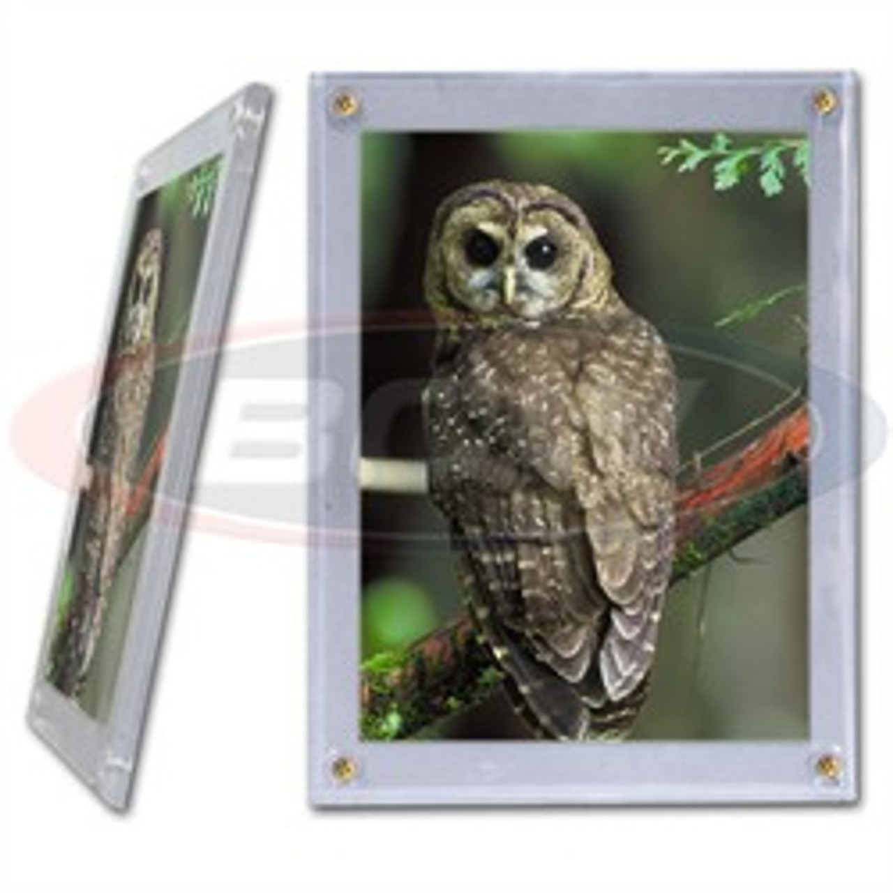 BCW Screwdown 5x7 Photo Holder