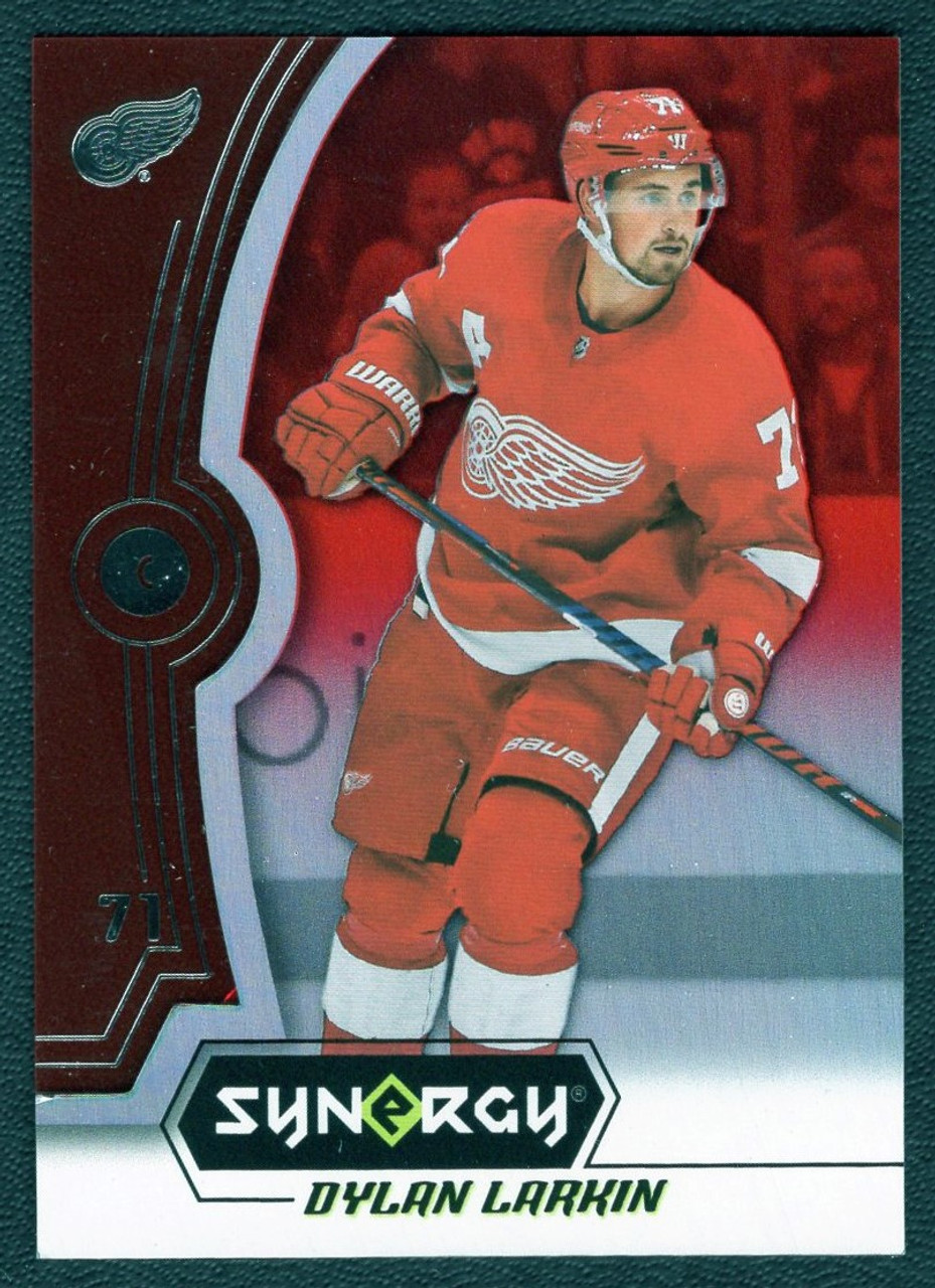 2018-19 Upper Deck Synergy #17 Dylan Larkin Red Bounty 