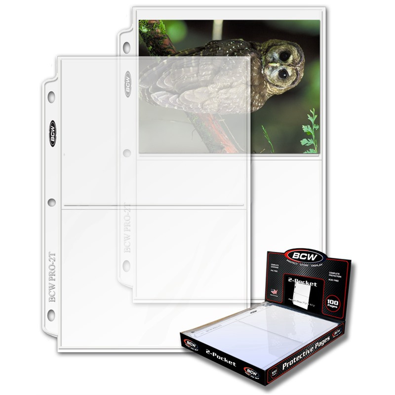 Binder Card Sleeves 10 BCW Pro 8-Pocket Card Pages - Ultra Clear Protector  Sheets For Vintage Sports Cards BCW Sports Trading Card Pocket Pages
