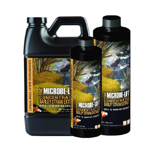 Concentrated Barley Straw Extract Concentrated Barley Straw Extract