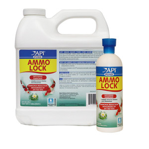 API Pond Ammo Lock