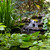 Large Waterfall Kit Large Waterfall Kit