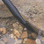 PondoVac 5 Pond Vacuum's Crevice Tool PondoVac 5 Pond Vacuum's Crevice Tool