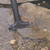 PondoVac 5 Pond Vacuum's Wide Nozzle PondoVac 5 Pond Vacuum's Wide Nozzle