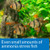 Protect Pond and Aquarium Fish From Ammonia Protect Pond and Aquarium Fish From Ammonia