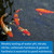 Water test strips for ponds Water test strips for ponds