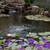Aerate Ponds Typhoon Air Pumps Aerate Ponds Typhoon Air Pumps