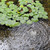 Typhoon Air Pumps Oxygenate Ponds Typhoon Air Pumps Oxygenate Ponds
