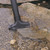 adjustable floor nozzle adjustable floor nozzle