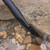 crevice nozzle crevice nozzle